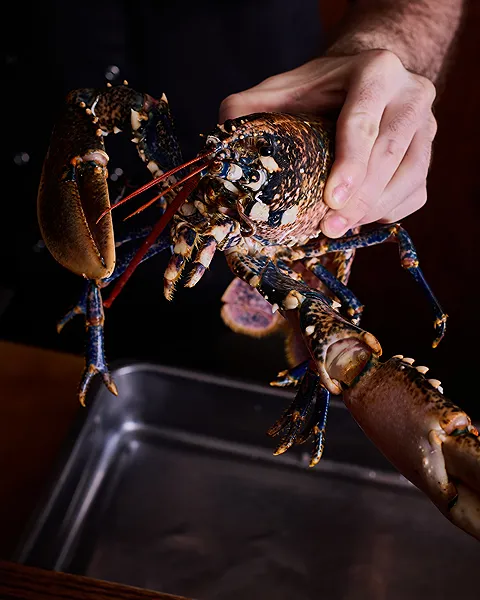 Chef preparing lobster